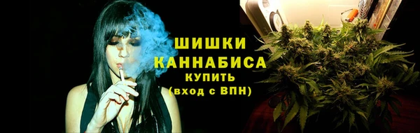 мдма Новозыбков