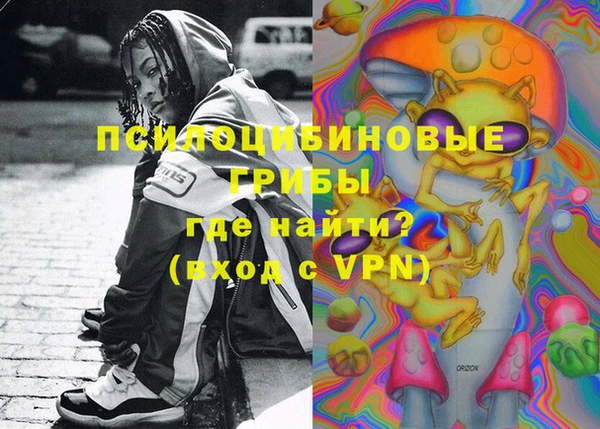 альфа пвп Новодвинск