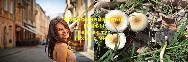 альфа пвп Новодвинск