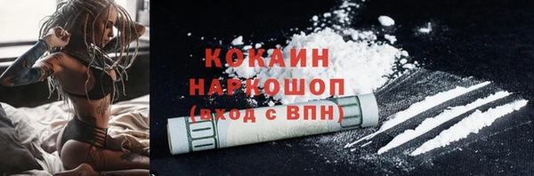 альфа пвп Новодвинск
